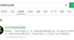 英伟达中国商业版图盘点 英伟达关联北京迈络思公司已注销 涉嫌违反反垄断法英伟达被立案调查
