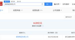 顾家集团等被强制执行6231万