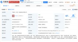 宁德时代贵州新能源材料公司换帅 蒋理卸任宁德时代贵州新能源材料公司董事长