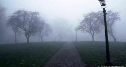 近三年信用卡业务指标下滑，中信银行“零售第一战略”步入瓶颈？