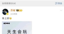 章红玉苏峻貌合神离，iCAR汽车究竟能不能行？