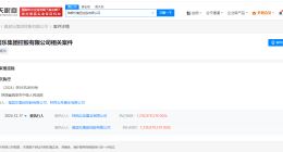 雅居乐集团等被强制执行12.3亿