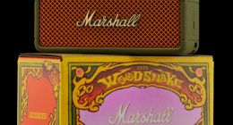 Marshall首次推出新春限定艺术家合作款音箱 共迎木蛇狂欢