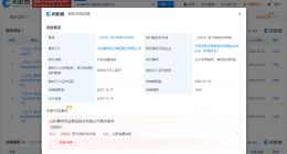 晨鸣纸业所持2亿股权被冻结