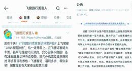 被边缘化的飞猪：用户流失，营销频繁“翻车”