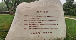 魏建军：你的“慢半拍”何时休？