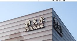 阿里都搞不定的银泰，雅戈尔为何接手？