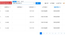 蜜雪冰城申请注册雪王AI智慧商标