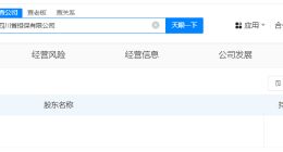 四川省担保公司登记成立 注册资本60亿