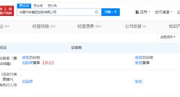 刘延辉卸任华晨汽车集团法定代表人 由张悦接任