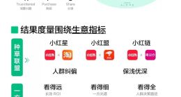 商业化大年：小红书的蜕变和困境