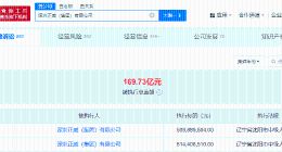 王文银及深圳正威等被强制执行13亿