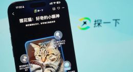 支付宝推出新一代AI视觉搜索产品“探一下”：用AI之眼探索万物