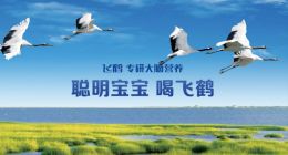 一生都是关键的中国人，怎能喝缺失关键技术的飞鹤？