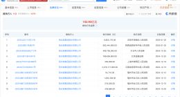 阳光城等被强制执行9.9亿