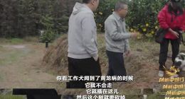 农民钟睒睒和他的“理想国”