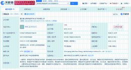 赛力斯新能源汽车设计院公司注销