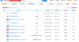 盘点担任董事长93年女孩商业版图 担任董事长93年女孩在21家企业任高管