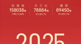 广汽丰田2024年销量下降近15% 2025年要进击智电新头部