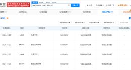 蔚来申请注册九霄天琴商标