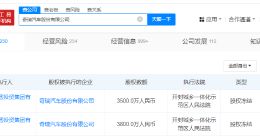 开封城市运营投资集团所持奇瑞汽车7300万股权被冻结