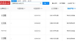 荣耀申请大王影像小王影像商标 荣耀申请大王长焦商标