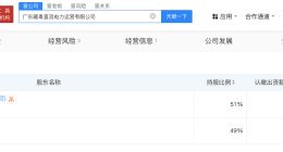 南方电网国家电网成立藏粤直流电力运营公司 注册资本110亿