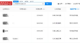 理想汽车申请硅基家人商标