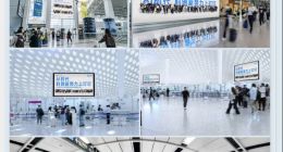 钉钉的大传播和小问题