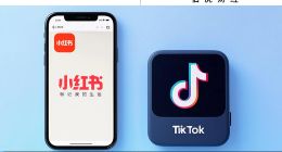 小红书，出海靠进口