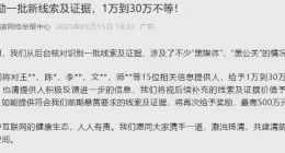 比亚迪重拳打击网络黑公关，对15位举报人发放高额奖励