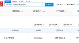 胖东来申请胖东来梦之城商标