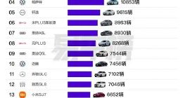 2024年北上广最爱买什么车型？特斯拉Model Y成最大赢家