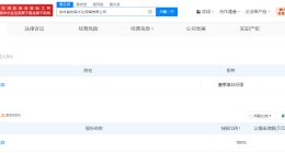 揭秘潘宏背后文化传媒公司 网红潘宏背后公司成立仅2个月