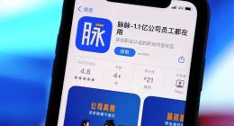 招聘软件“脉脉”被 “诈骗精英”攻占