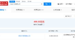海马汽车公司被强制执行496万 海马汽车公司成被执行人