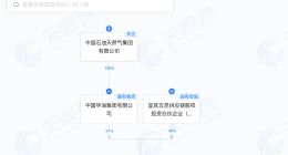 华油集团与五粮液集团合资公司登记成立 注册资本3亿