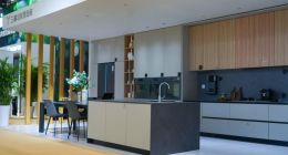 三翼鸟是唯一将智慧生活送进千家万户的吗？