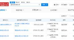 晨鸣控股被冻结7亿股权 晨鸣控股所持7亿股权被冻结
