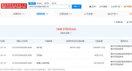 威马汽车温州制造公司欠税1449万被公告