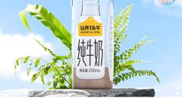 认养一头牛真开始养牛了