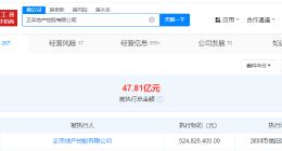 正荣地产等被强制执行5.2亿