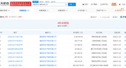 融创房地产等被强制执行8.8亿