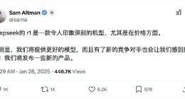 DeepSeek的爆红，指出了当下 AI 最大困境