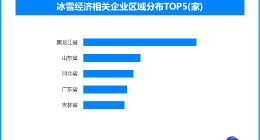 冰雪经济热力升级，冰雪运动与文化旅游共绘发展新篇章