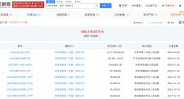 花样年集团等被强制执行10亿