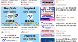 靠DeepSeek赚钱的“卖铲人”，浮夸至极