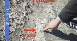 小米SU7发生断轴 官方辟谣非质量问题：网友热议驾驶员诡异动机