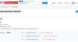 绿地控股集团等被强执2.8亿