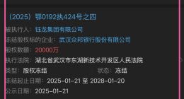 众邦银行股权又遭冻结，股东堪称“问题天团”！